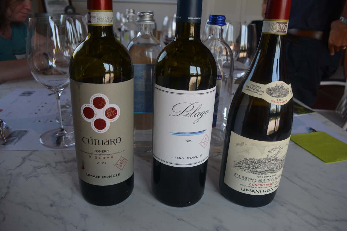 Dal Verdicchio al Montepulciano: un viaggio nei grandi vini di Umani Ronchi Dal Verdicchio al Montepulciano: un viaggio nei grandi vini di Umani Ronchi