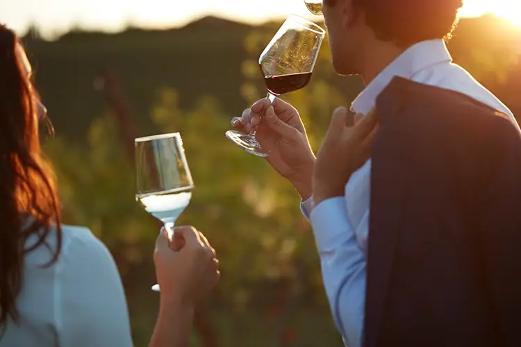 Diverse le Wine Experience da Umberto Cesari Viaggio nella Romagna autentica Tra vino, yoga e camminate