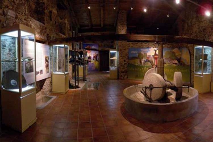 Umbria, terra di grande fascino e di oli extravergine d&rsquo;eccellenza