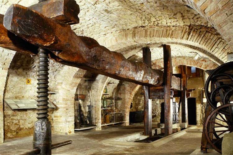 Umbria, terra di grande fascino e di oli extravergine d&rsquo;eccellenza