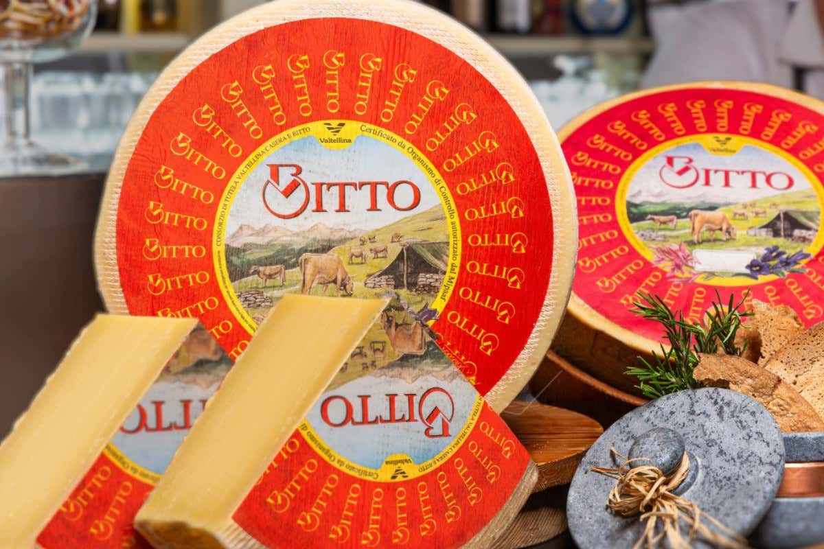 Dietro le forme di Bitto e Casera: un podcast racconta la Valtellina delle Dop Dietro le forme di Bitto e Casera: un podcast racconta la Valtellina delle Dop