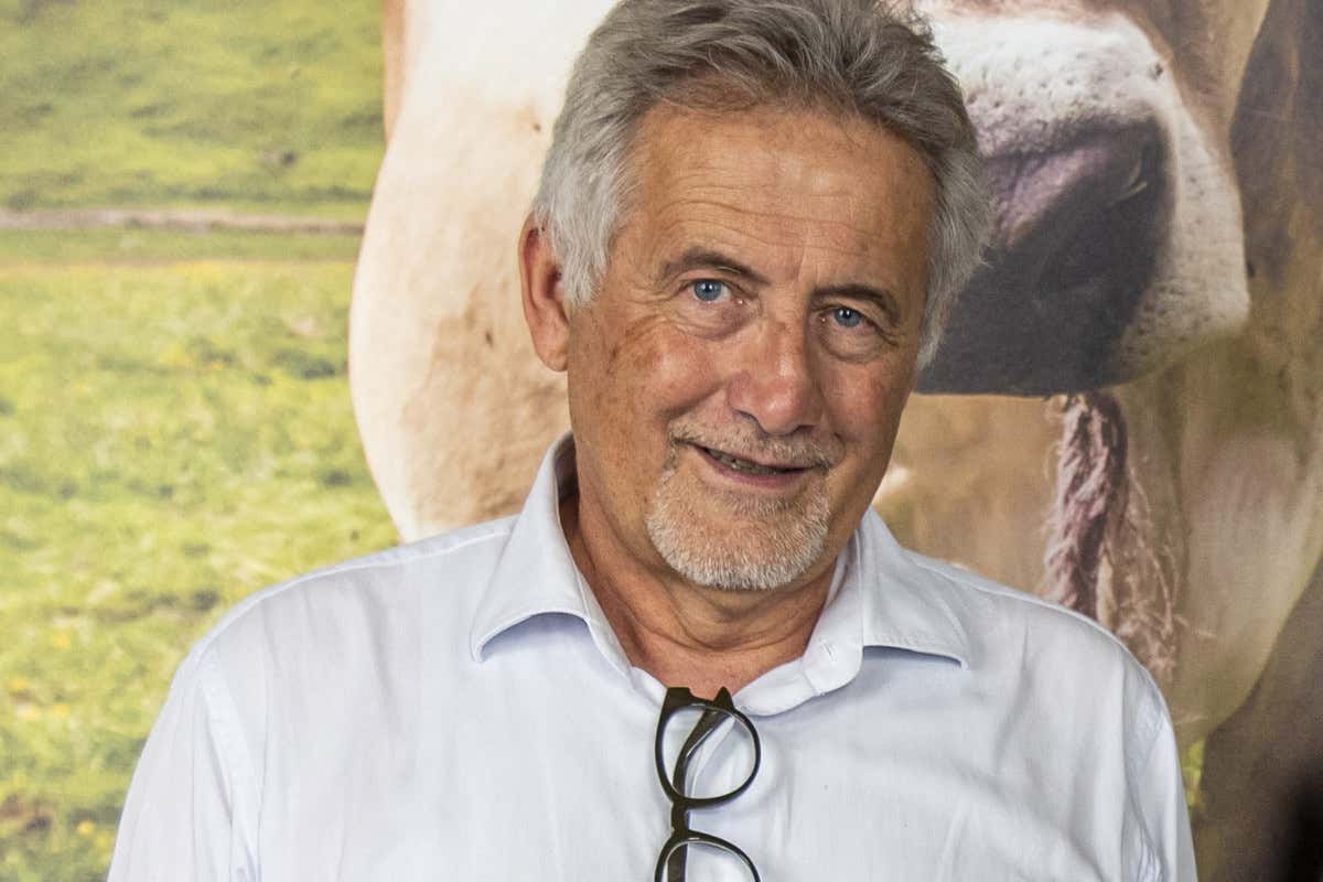 Dietro le forme di Bitto e Casera: un podcast racconta la Valtellina delle Dop Dietro le forme di Bitto e Casera: un podcast racconta la Valtellina delle Dop