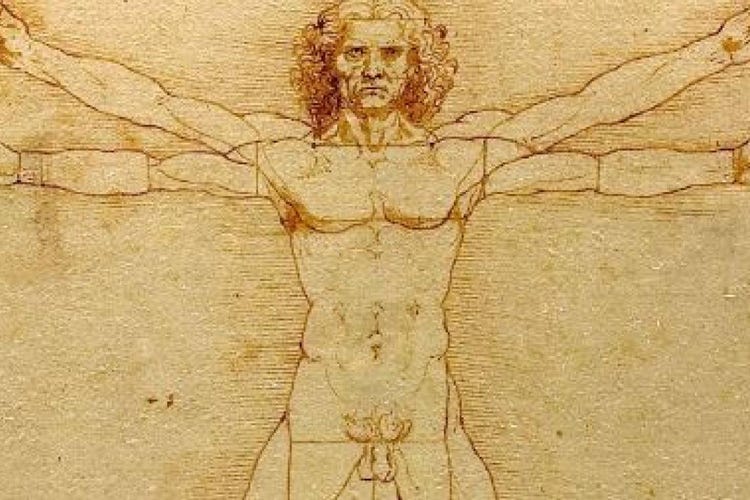 L'Uomo Vitruviano di Leonardo Da Vinci (Il Tar blocca l’Uomo Vitruviano Cremona gli fa una statua di torrone)