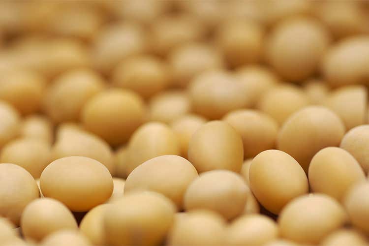 Uova contaminate con insetticida Ministero: «Italia fuori pericolo» Uova contaminate con insetticida Ministero: «Italia fuori pericolo»