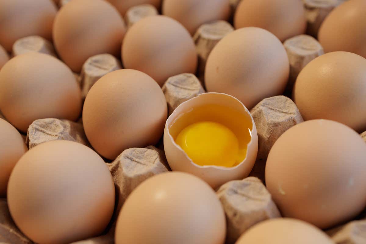 Meglio l’uovo intero o solo l’albume? Cosa dice davvero la scienza Meglio l’uovo intero o solo l’albume? Cosa dice davvero la scienza