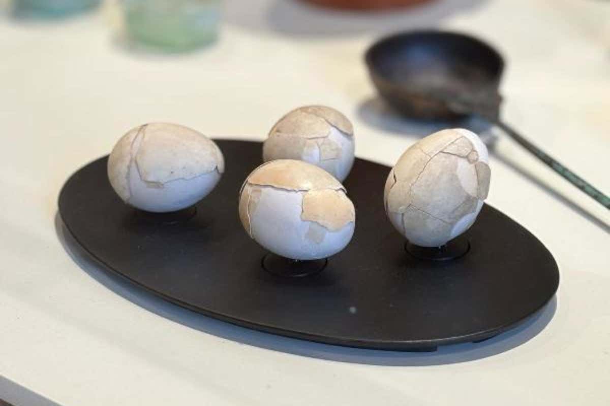 Dall'uovo alle mele: la mostra sul cibo nell'antica Ercolano a Villa Campolieto Dall'uovo alle mele: la mostra sul cibo nell'antica Ercolano a Villa Campolieto