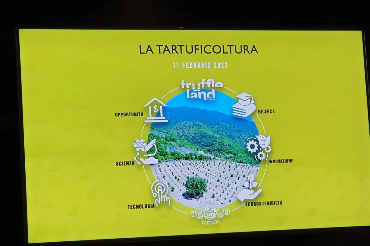 La tartuficoltura migliora il pianeta, abbassa la CO2 e produce economia fresca