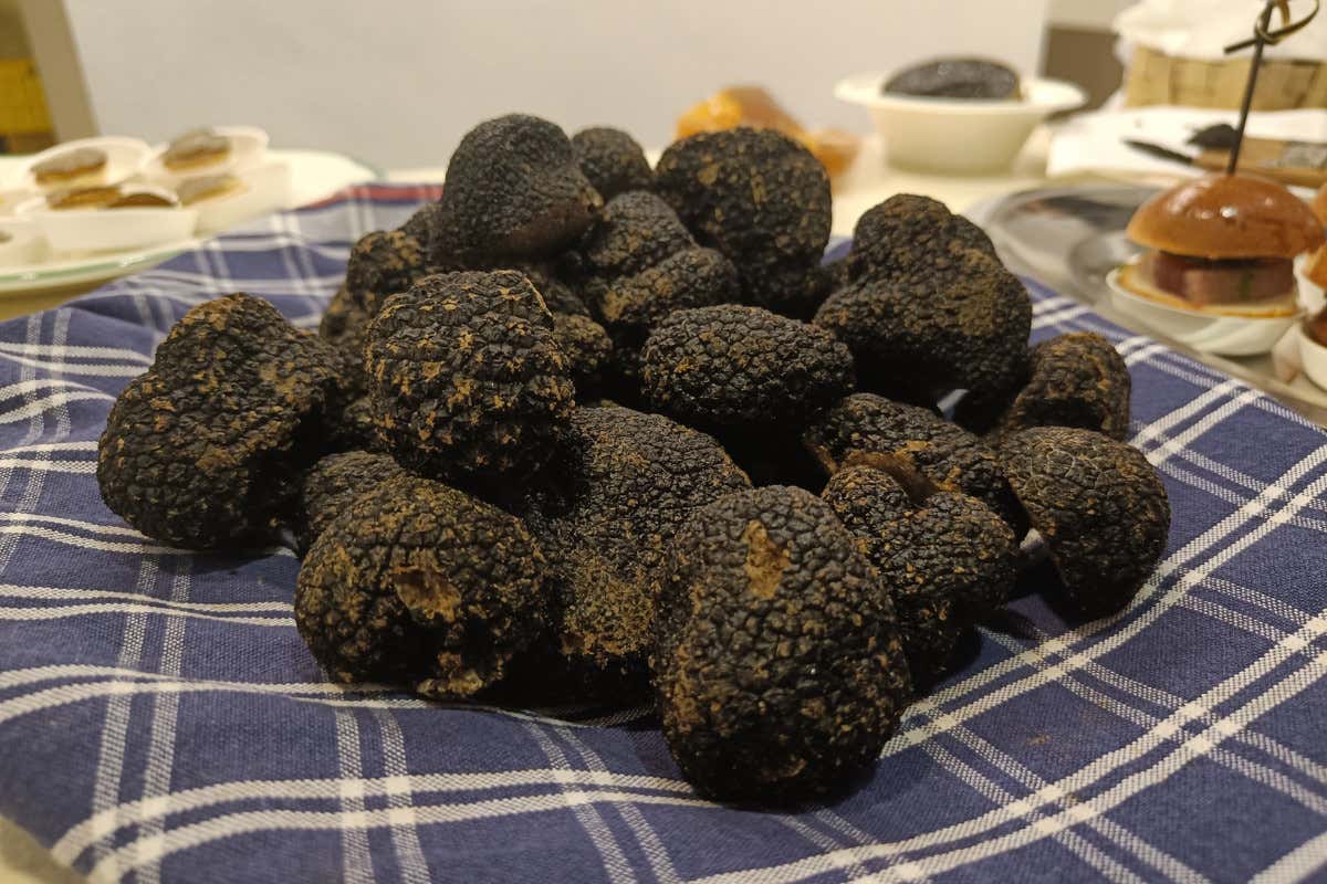 A Milano la boutique aperta tutto l’anno per rendere il tartufo senza stagione