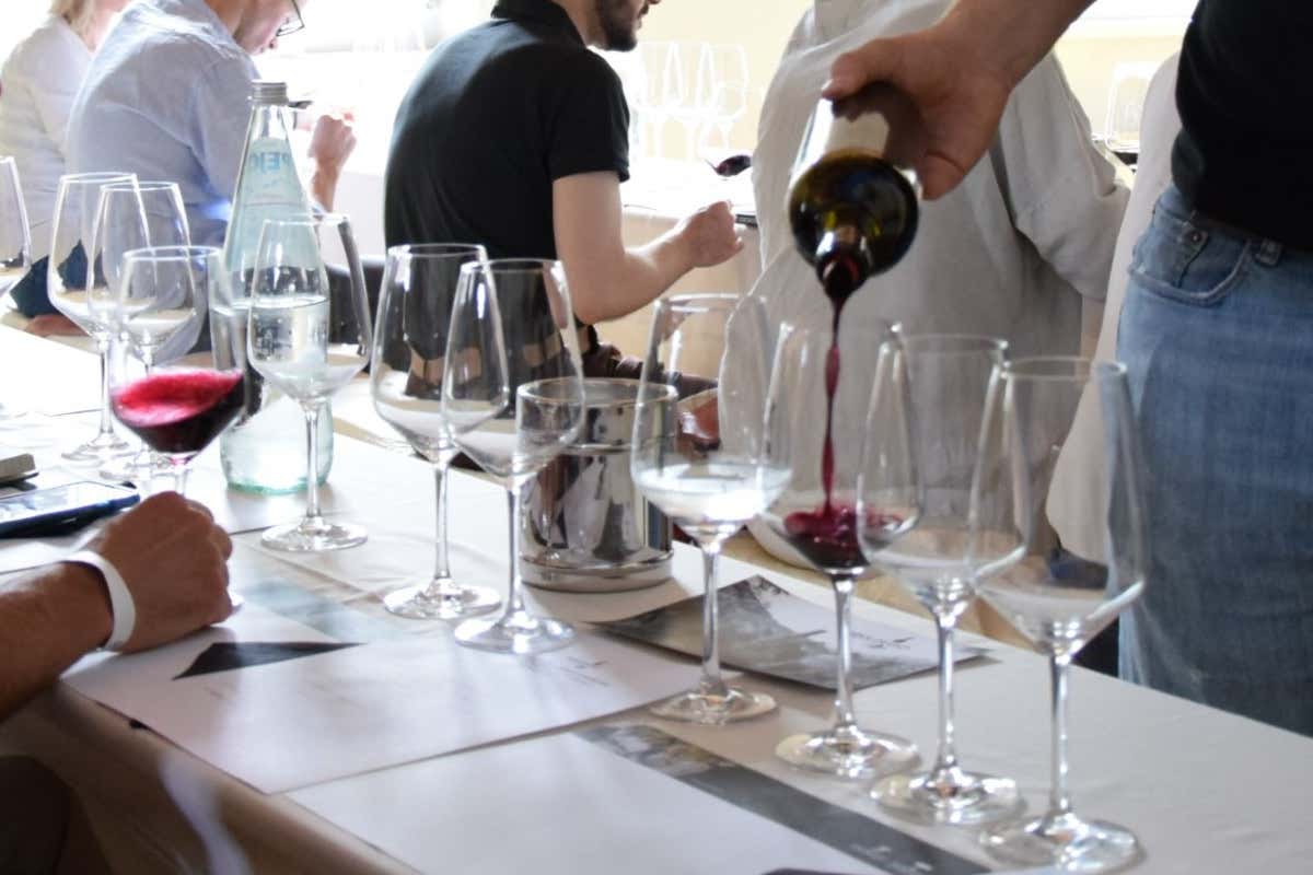 Un'immagine di Uva e ditorni ad Avio Ad Avio in settembre è tempo di Uva e dintorni