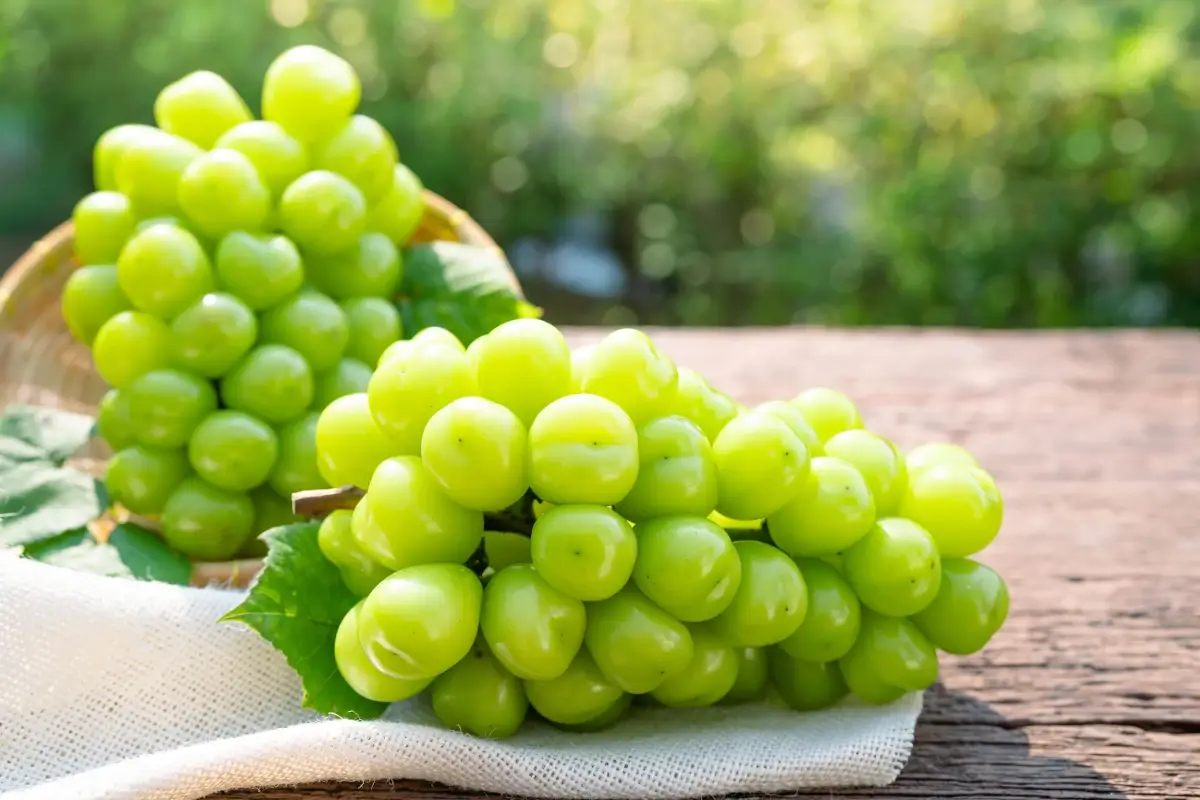 Crisi per l'uva da tavola Crisi per l&rsquo;uva da tavola, prezzi di vendita a 25 centesimi