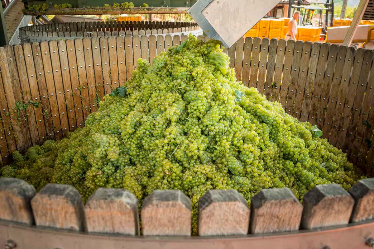 Franciacorta in continua evoluzione: dalla zonazione ai “cru” in etichetta Franciacorta in continua evoluzione: dalla zonazione ai “cru” in etichetta