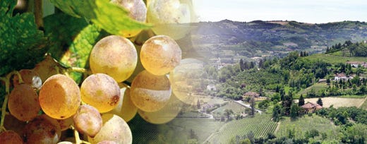 Pace fatta per il Moscato d'Asti 
Accordo tra industrie e viticoltori
