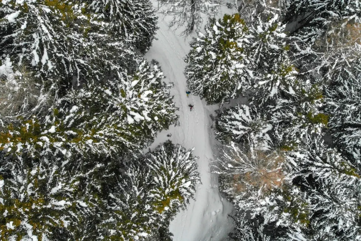 Montagne bresciane: trecento chilometri di piste e tante idee per una vacanza&hellip; in bianco