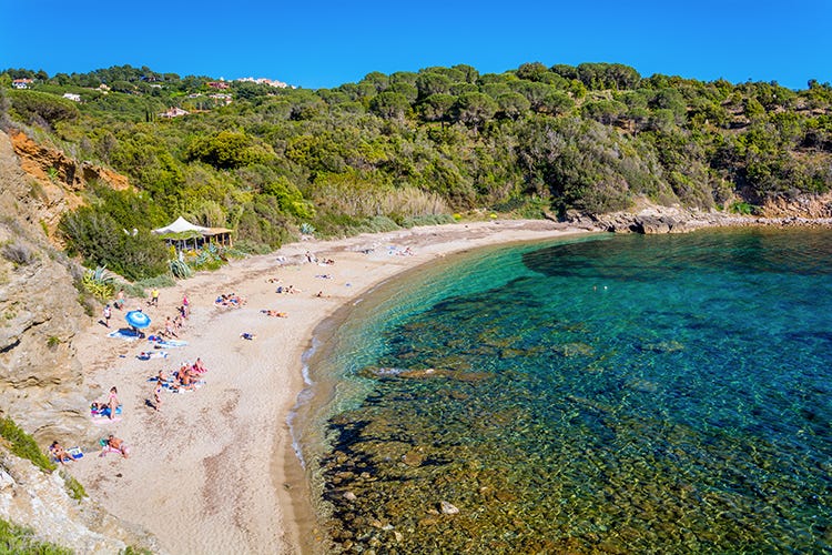 Si parla di spiagge libere: ecco uno scatto di un litorale aperto sull'Isola d'Elba - Un'estate italiana con le sue regole Le aperture, regione per regione