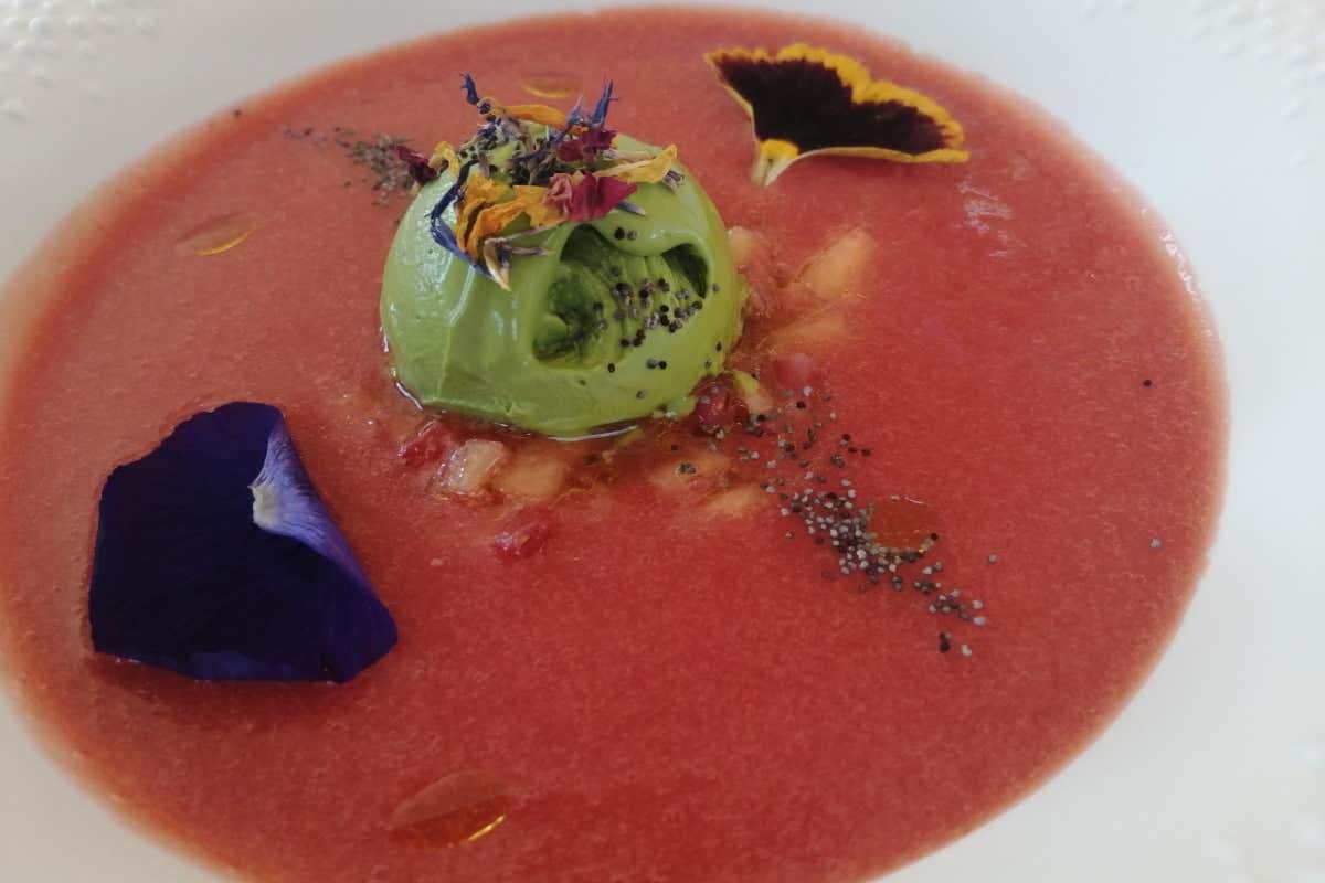 Sergio Stevanato: da imprenditore del vetro ai vini di Tenuta Stella