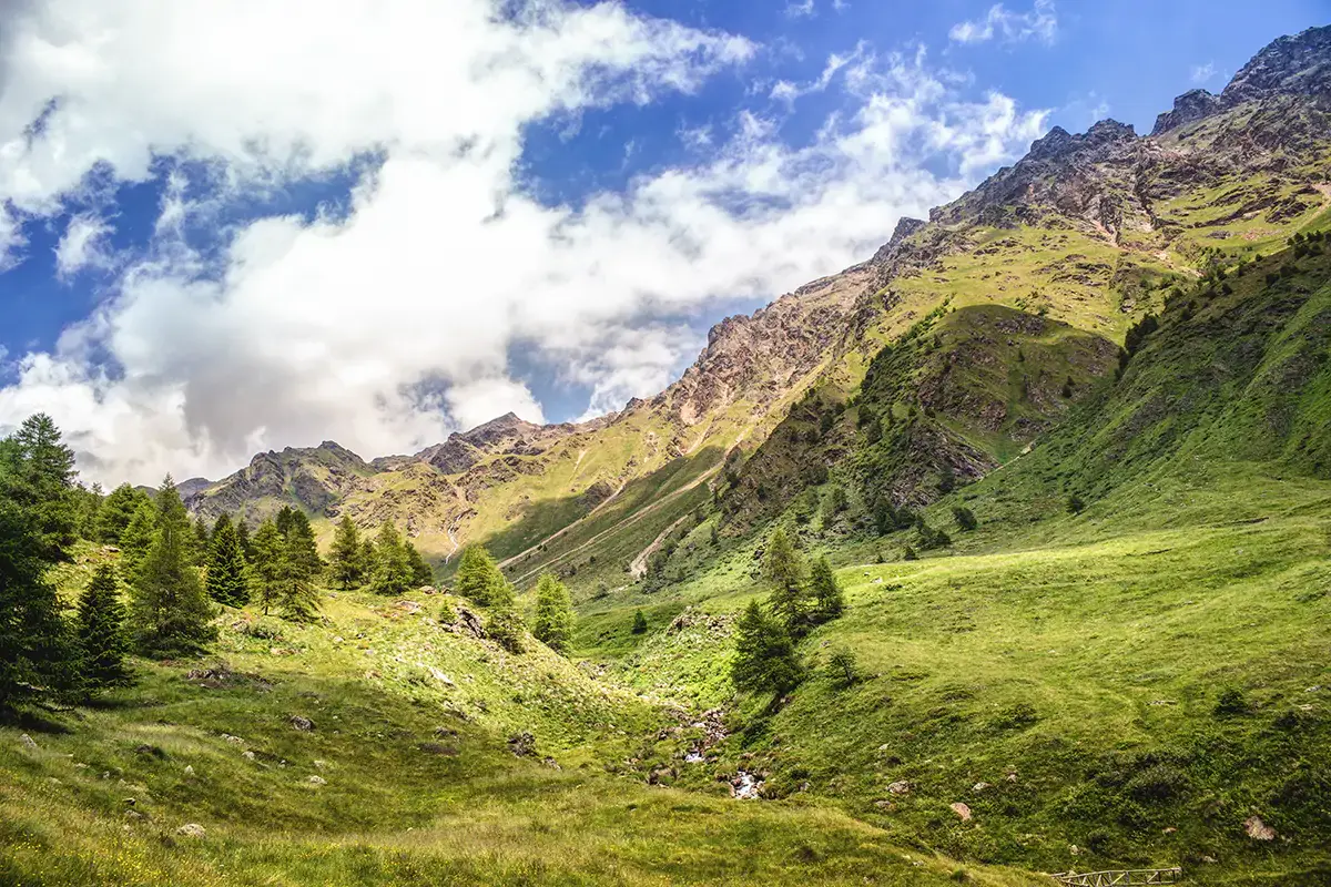 Uno scorcio della Valle Camonica In Valle Camonica vino e formaggio deliziano l'estate dei turisti