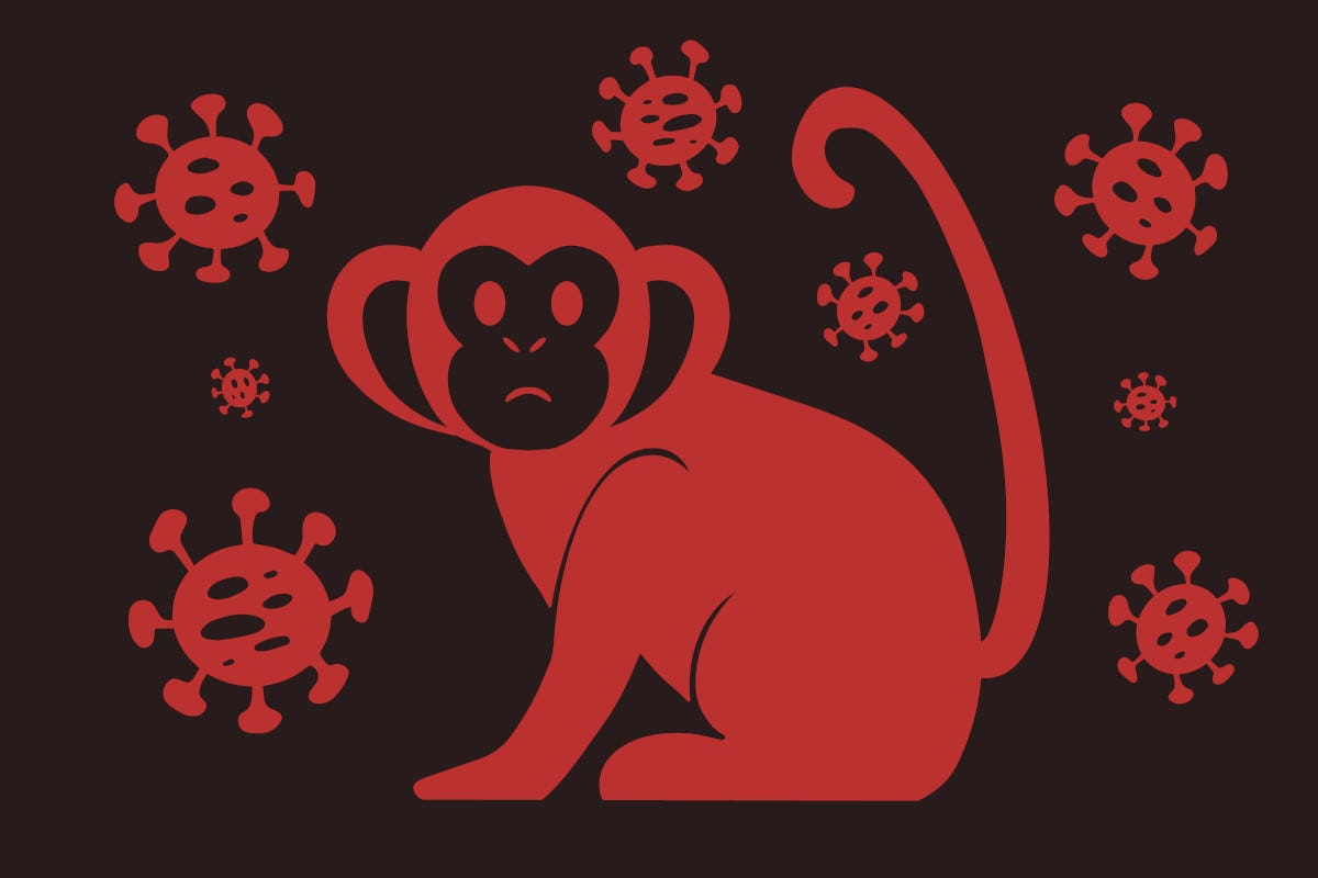 Vaiolo delle scimmie: cos'è e quali sono i sintomi