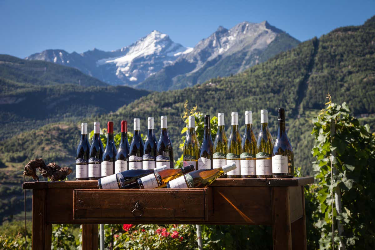 Val d'Aosta, bottiglie di vino Maison Anselmet Villeneuve  (foto Archivio Regione Autonoma) Primavera in Val d'Aosta fra castelli trekking relax e gusto