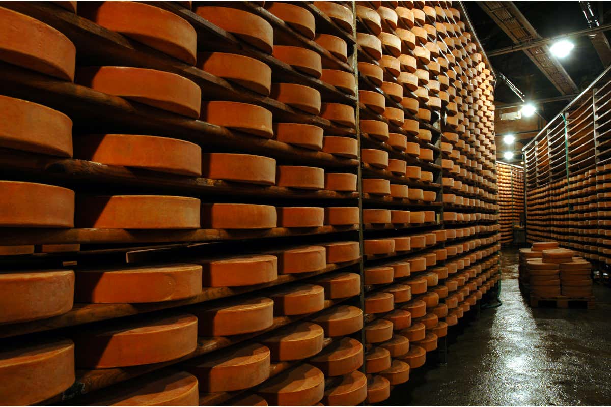 Val d'Aosta, magazzino Fontine Ollomont (Foto Roberto Andrighetto) Primavera in Val d'Aosta fra castelli trekking relax e gusto