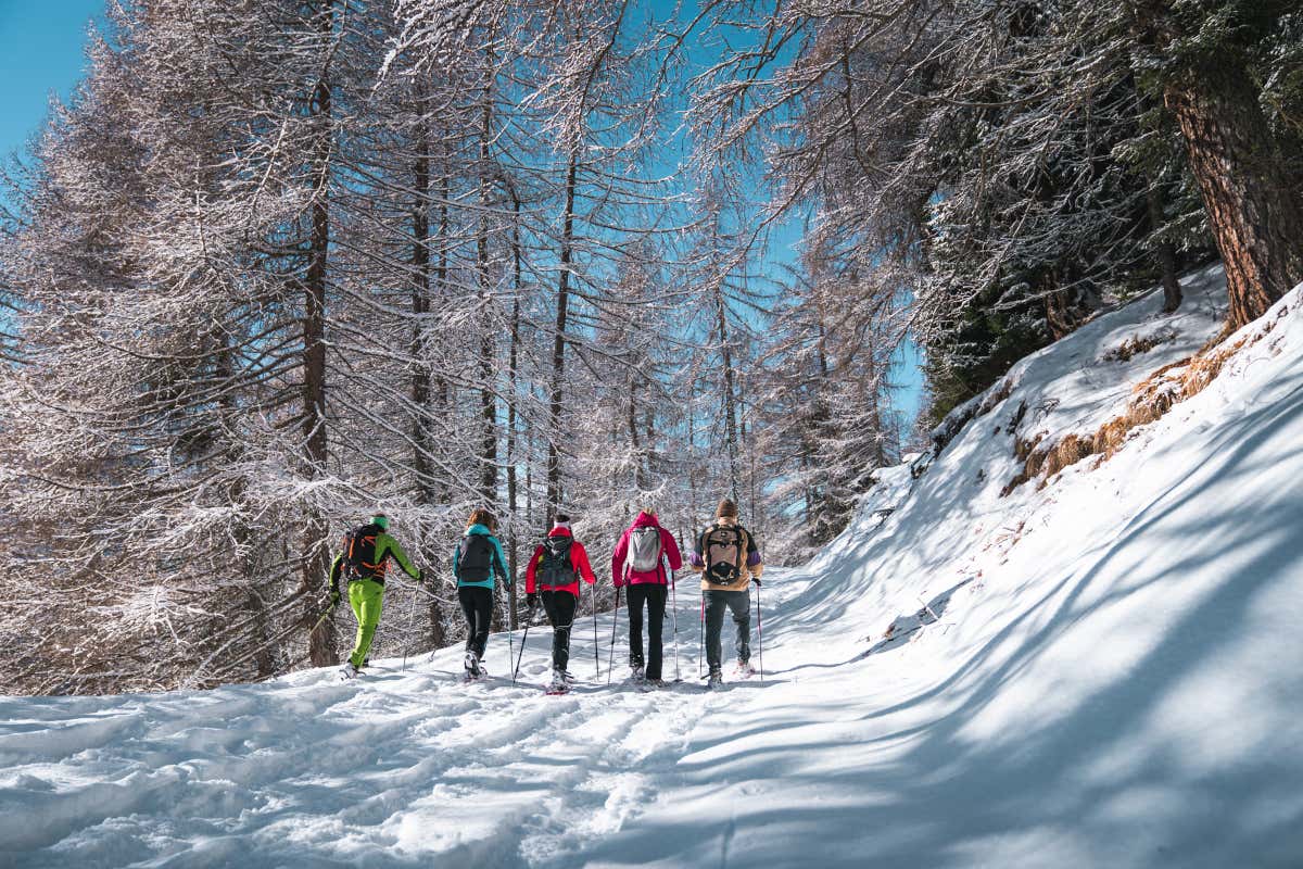 Le ciaspolate, tra le attività più interessanti da svolgere in primavera in Val di Sole
