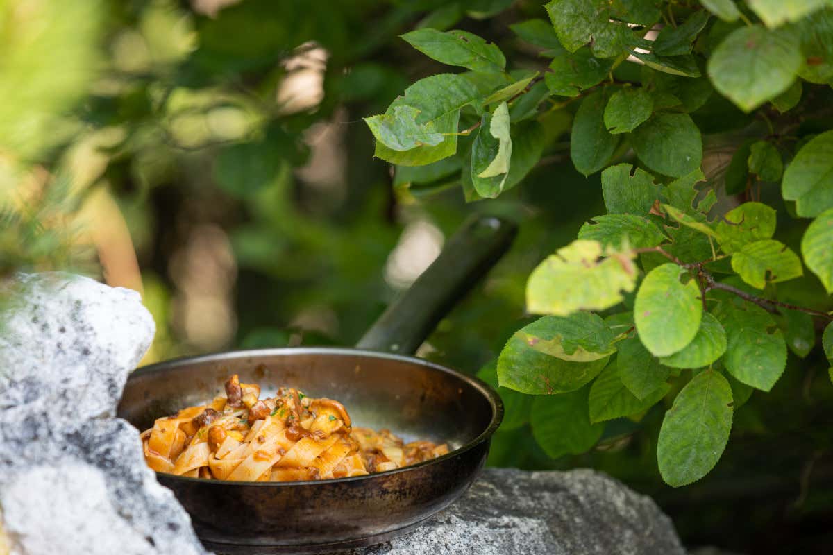 Selvaggina & Funghi: in Val d'Ega è un autunno di gusto