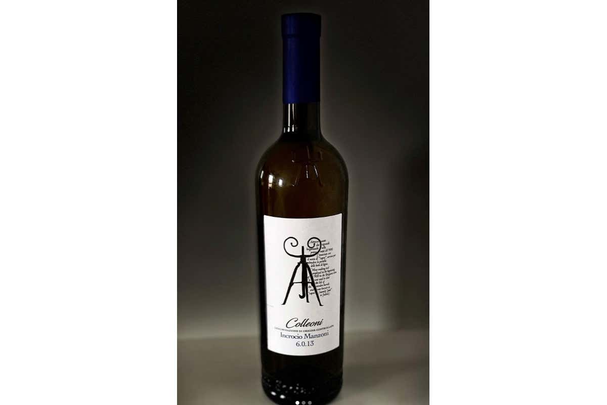 Terre del Colleoni Incrocio Manzoni 6.0.13 DOC