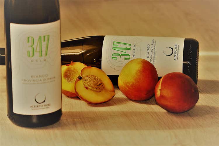 Il "347" bianco della cantina Valdamonte  - Valdamonte, cantina e agriturismo raccontano il territorio dell'Oltrep&ograve;