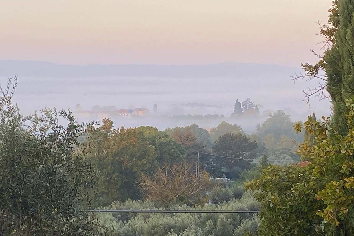 Valdarno di Sopra Doc, 