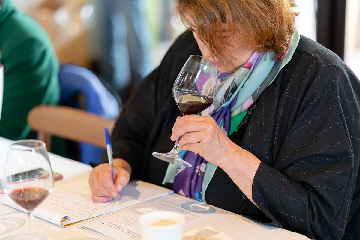 Valdarno di Sopra Doc, 