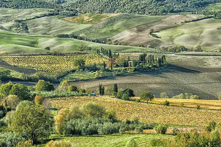 Tre giorni tra frantoi e degustazioni guidate nella Valdichiana Senese L&rsquo;olio, un&rsquo;esperienza da vivere La migliore? In Toscana