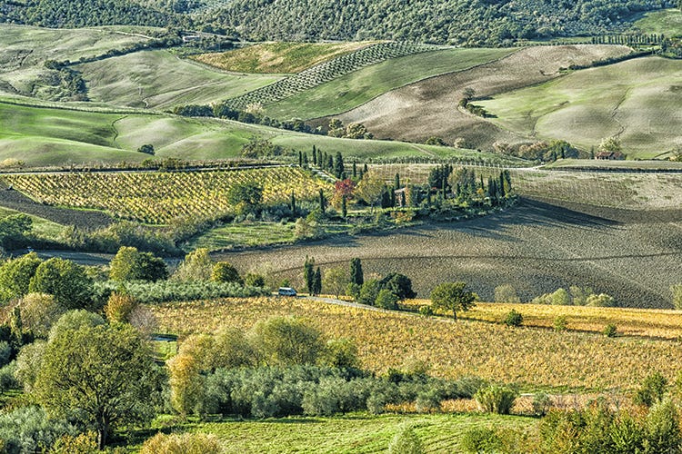 Tre giorni tra frantoi e degustazioni guidate nella Valdichiana Senese L’olio, un’esperienza da vivere La migliore? In Toscana