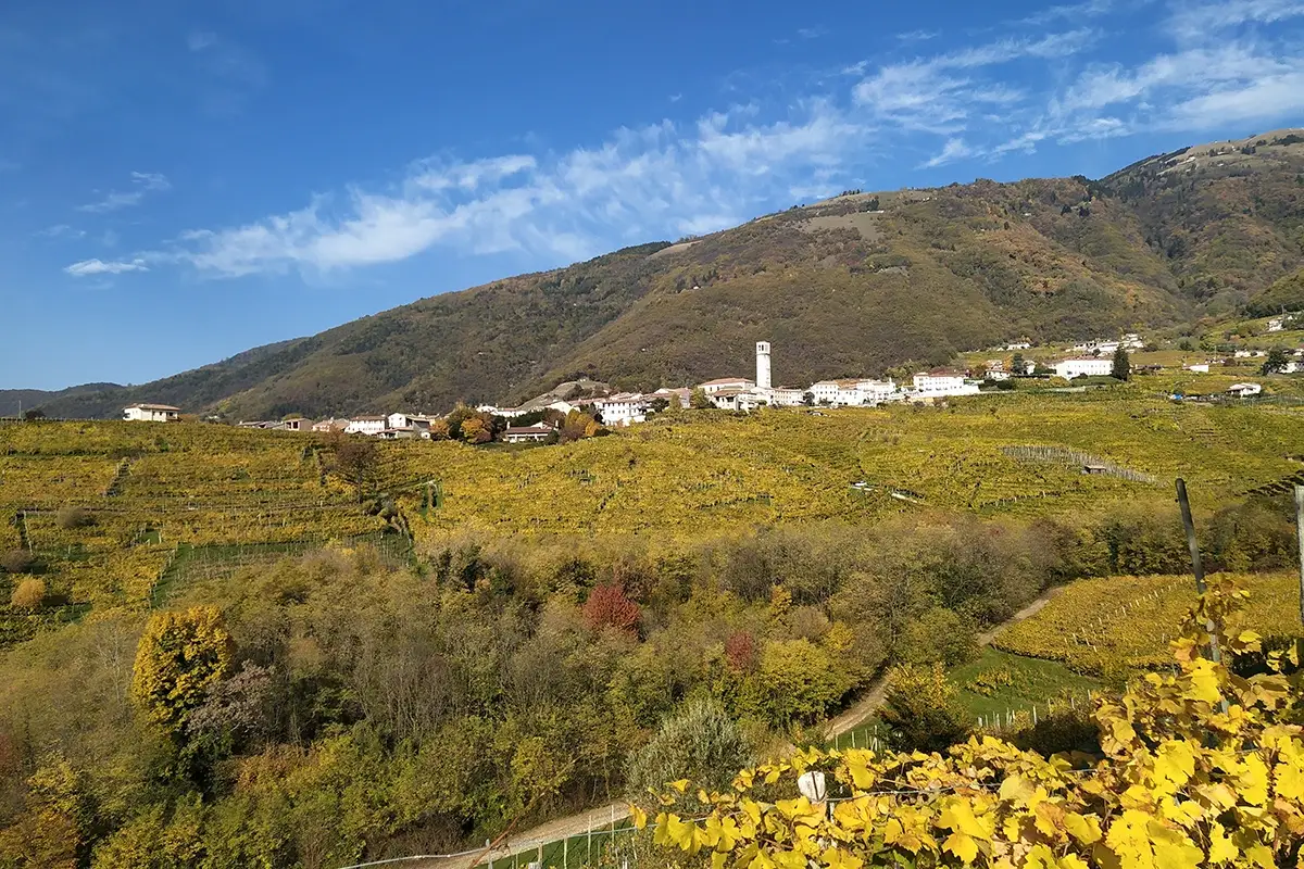 Lo splendido territorio patrimonio Unesco Surfine di Foss Marai, virisione raffinata della storica cuv&eacute;e