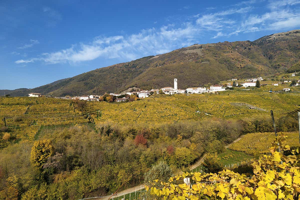 Lo splendido territorio patrimonio Unesco Surfine di Foss Marai, virisione raffinata della storica cuv&eacute;e