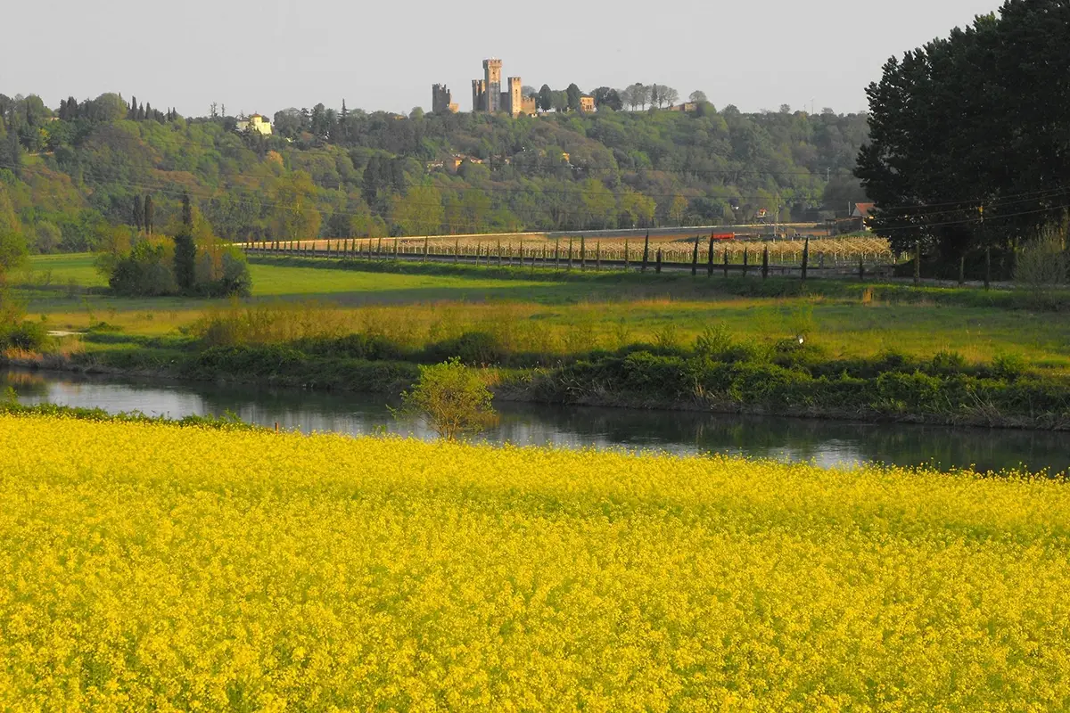 Valeggio sul Mincio. Foto: MassimoTurrata Un itinerario da sogno tra paesaggi fiabeschi? Fermatevi a Valeggio sul Mincio