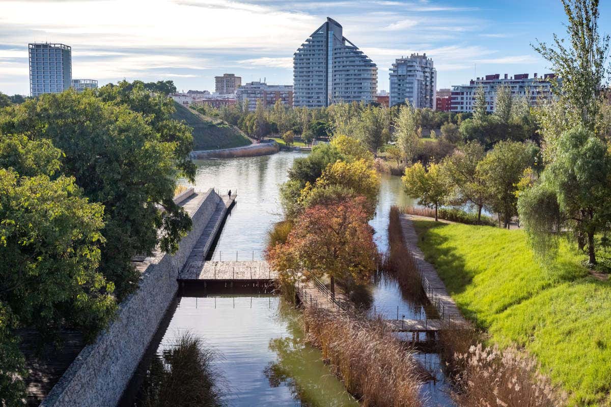 Valencia: cosa vedere e come muoversi nella Capitale Verde Europea 2024 Valencia: cosa vedere e come muoversi nella Capitale Verde Europea 2024