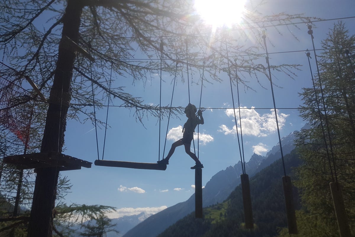 Il Parco avventura Alpe Rebelle Bionaz È arrivata l’estate, le stelle della Val d’Aosta si accendono