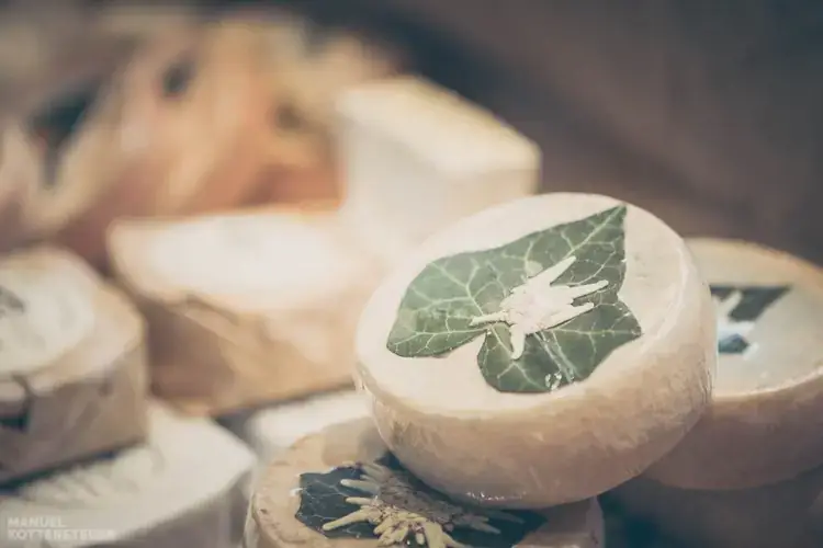 In Valle Aurina il regno dei formaggi di montagna pi&ugrave; rari&nbsp; Non solo il mitico Grauchese, per chi ama i formaggi