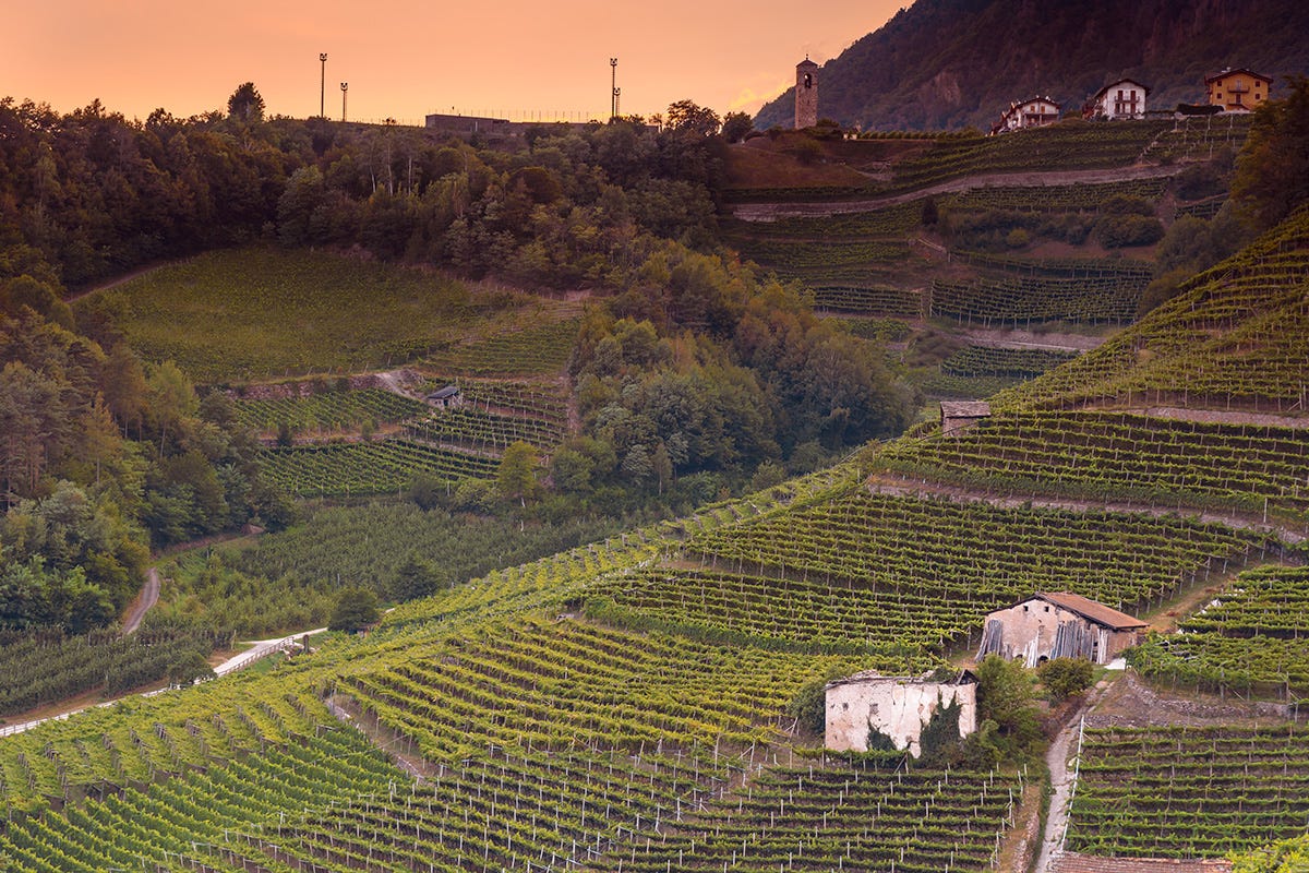 Valle di Cembra Mangiare e dormire in Valle di Cembra: il Trentino ancora da scoprire