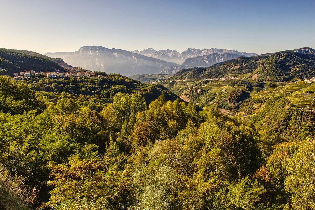 Valle di Cembra Mangiare e dormire in Valle di Cembra: il Trentino ancora da scoprire