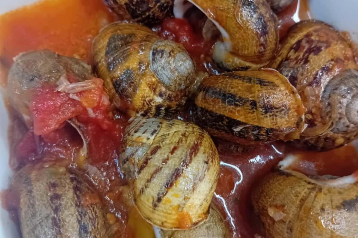 Sulla Valle dell'Etna c'è un agriturismo che racconta la Sicilia contadina