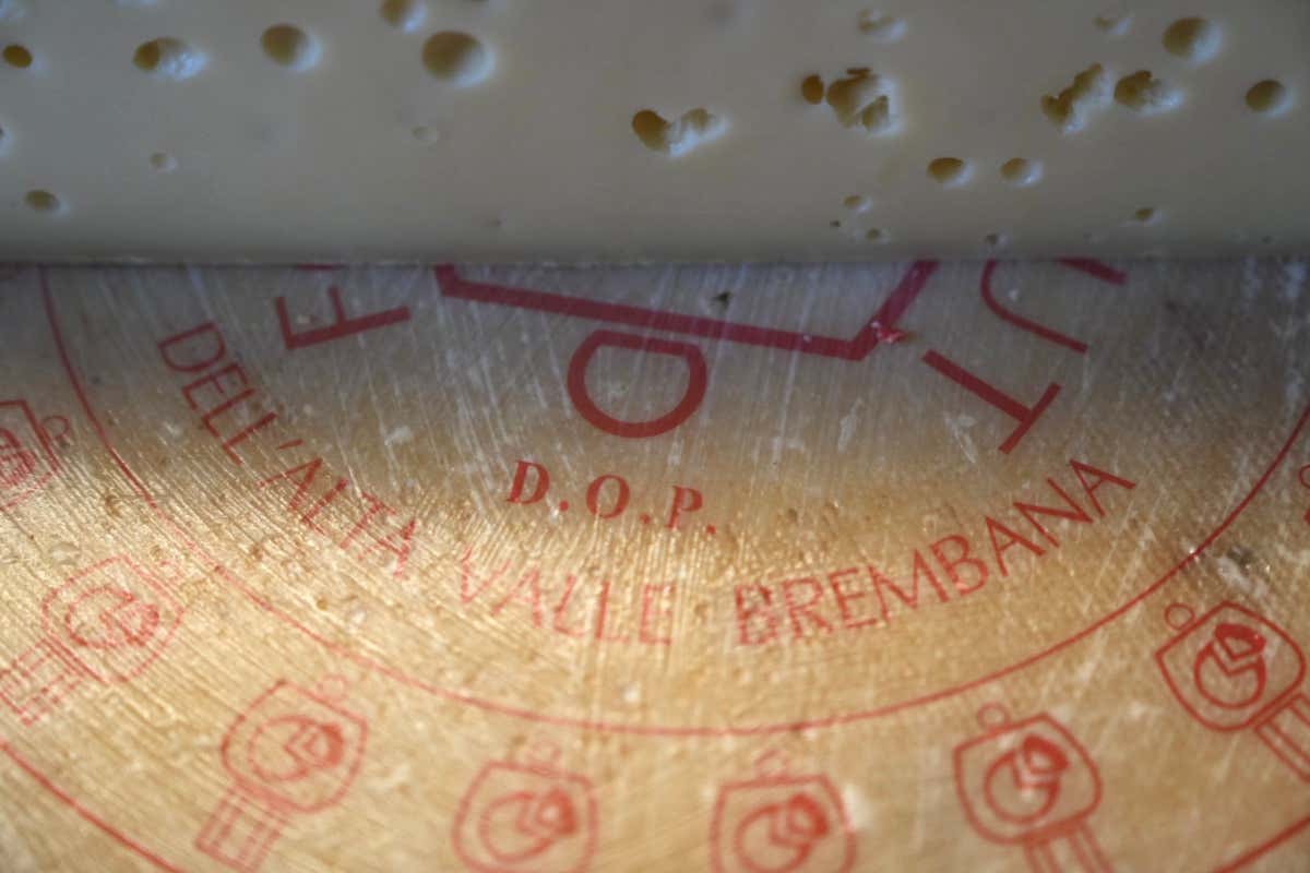 Forme Cult, al nastro di partenza l'evento che celebra l'eccellenza lattiero-casearia