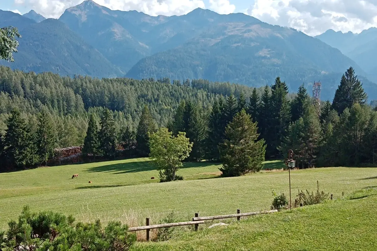 Paesaggio Val di Fiemme, spa a cielo aperto dove la sostenibilità è di casa