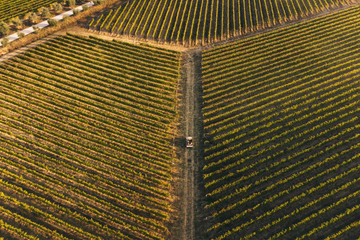 Vallepicciola, un'azienda £$prodige$£ nel cuore del Chianti Classico