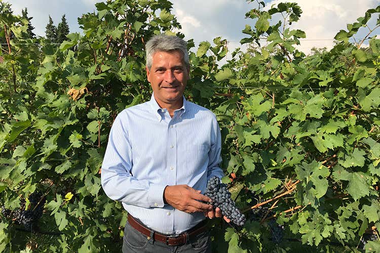 Luigi Turco (Valpolicella, il 10% dell'Amarone ha in etichetta Cantina Valpantena)