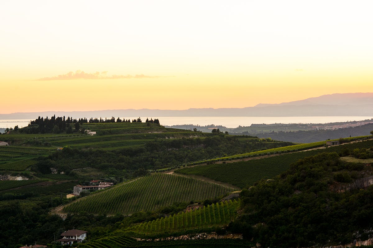 Panorama da S. Giorgio in Valpolicella  Chiari, freschi e dolci… vini! Viaggio tra le Doc del Lago di Garda
