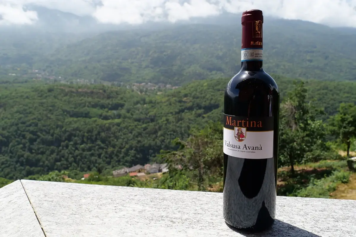 Nei vini il riflesso del territorio Doc Valsusa, vini eleganti che portano nel calice il territorio