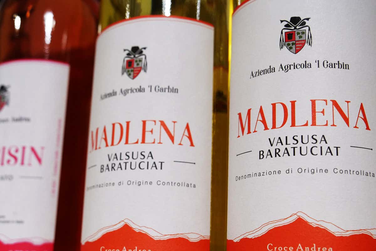 Bottiglie delle aziende locali Doc Valsusa, vini eleganti che portano nel calice il territorio Bottiglie delle aziende locali Doc Valsusa, vini eleganti che portano nel calice il territorio