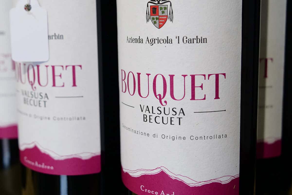 Becuet Doc Valsusa, vini eleganti che portano nel calice il territorio