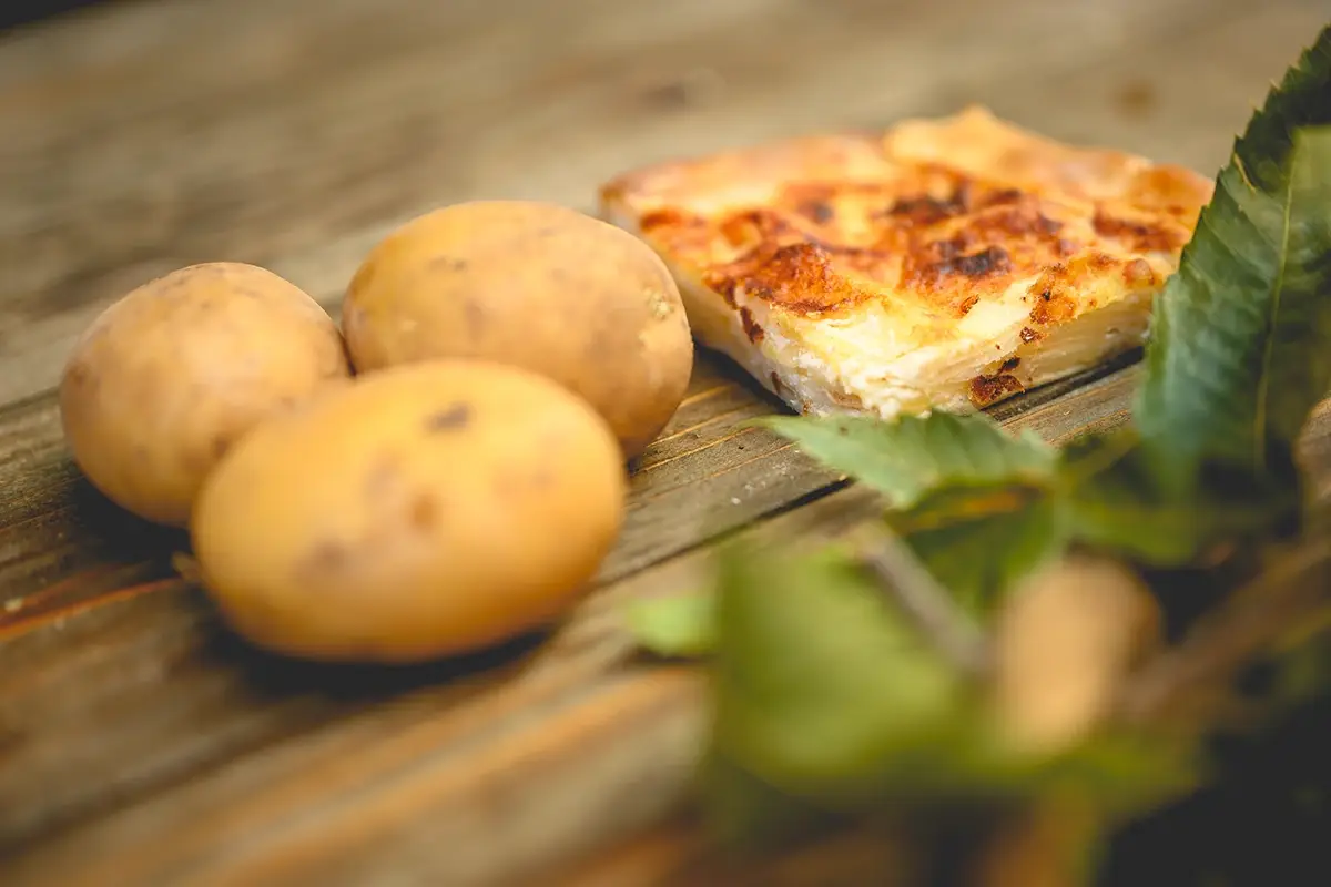 Specialità gastronomica, foto di Luca Pezzani, credit Alta Valtaro Funghi, castagne e tartufi: a caccia di tesori in Alta Valtaro