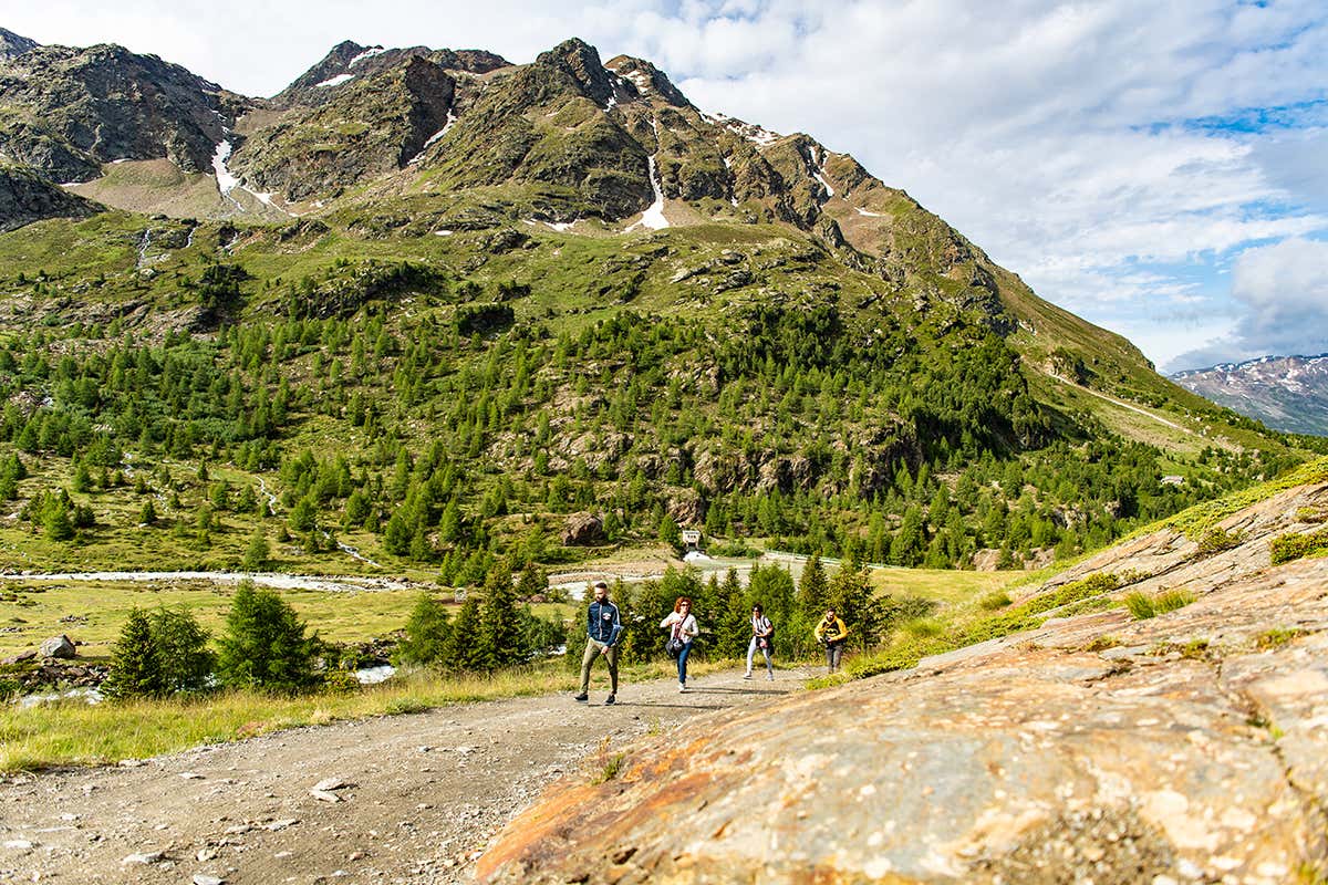 Al via il cammino per scoprire i luoghi e i segreti dei due formaggi Assaggiando il Bitto: 7 tappe tra i borghi e sapori della Valtellina